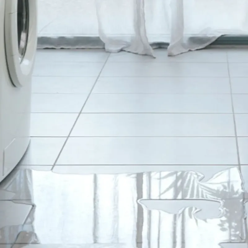 Appliance Leak Cleanup in Waycross, GA